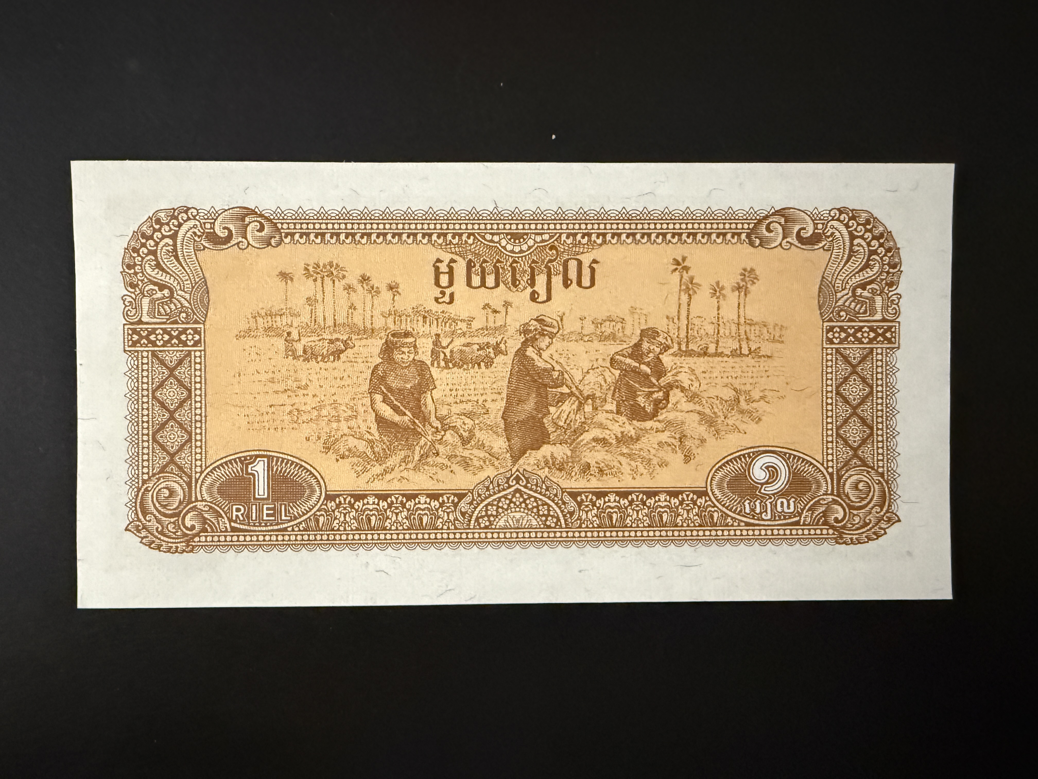 CAMBODIA 1 Riel 1979 (P.28) UNC