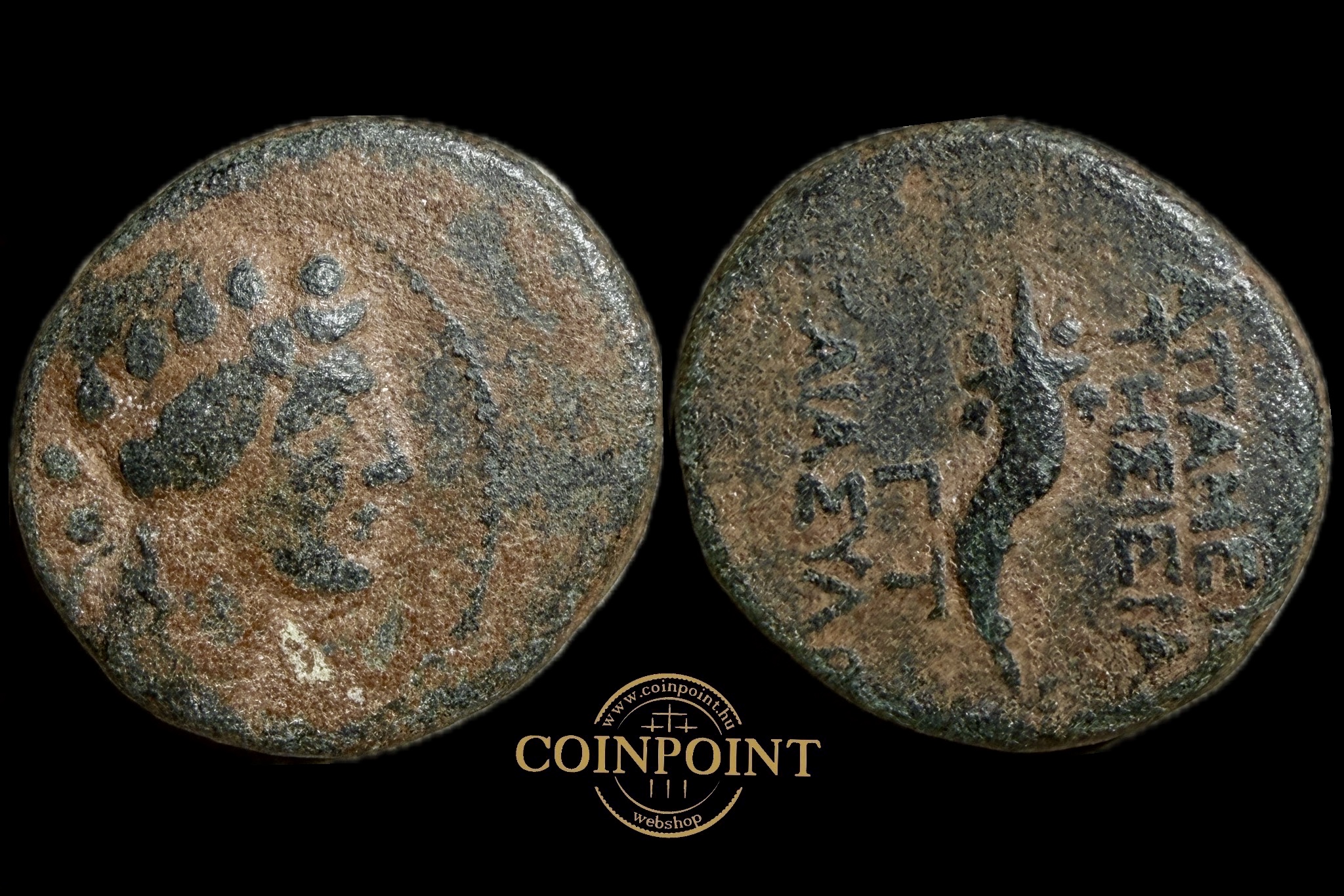 Syria Pieria Apameia (i.e.30-29) AE Pseudo-autonomous