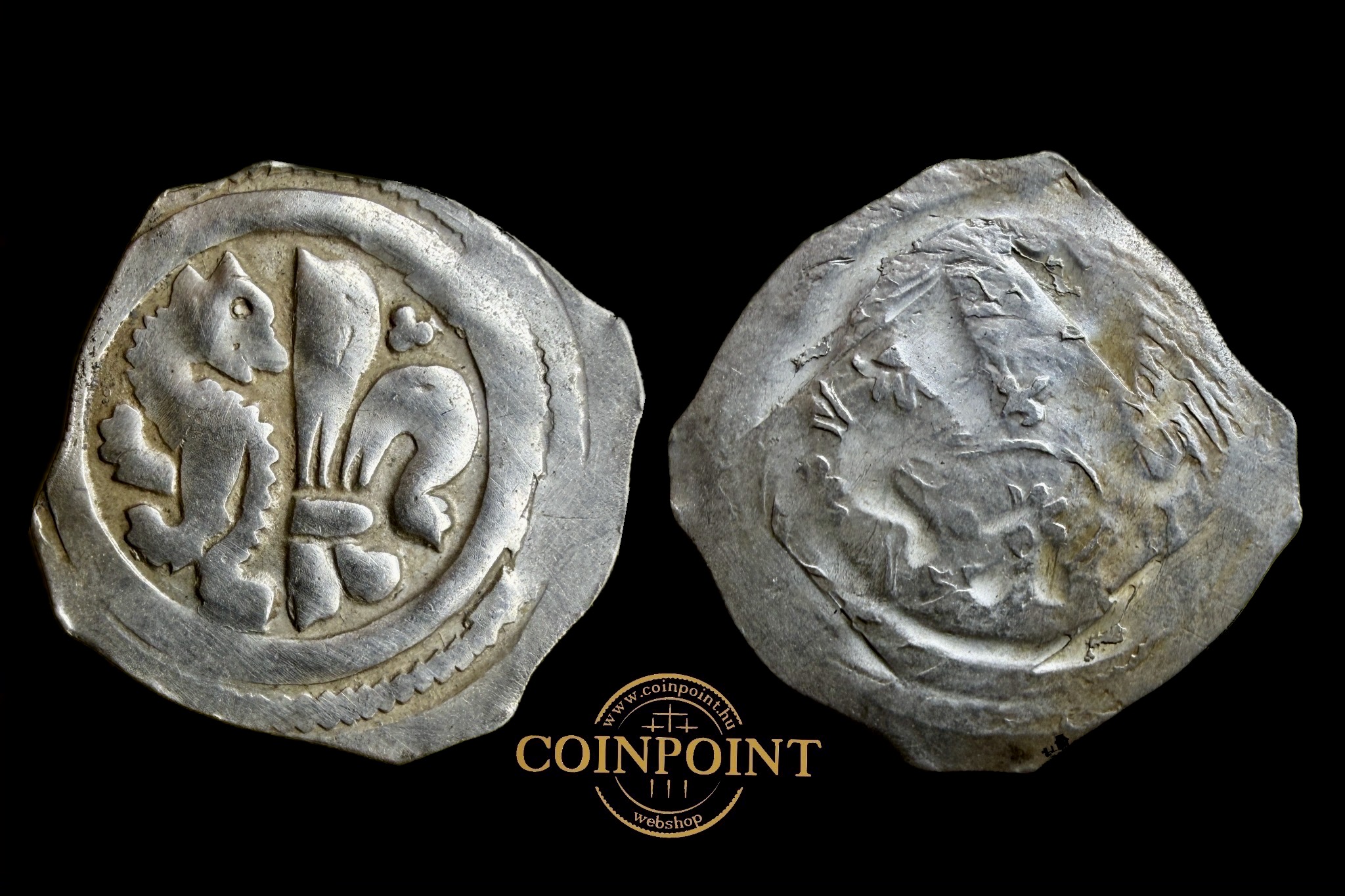 I.Albrecht Dénár (1298-1308) Gratz CNA D-78 R!