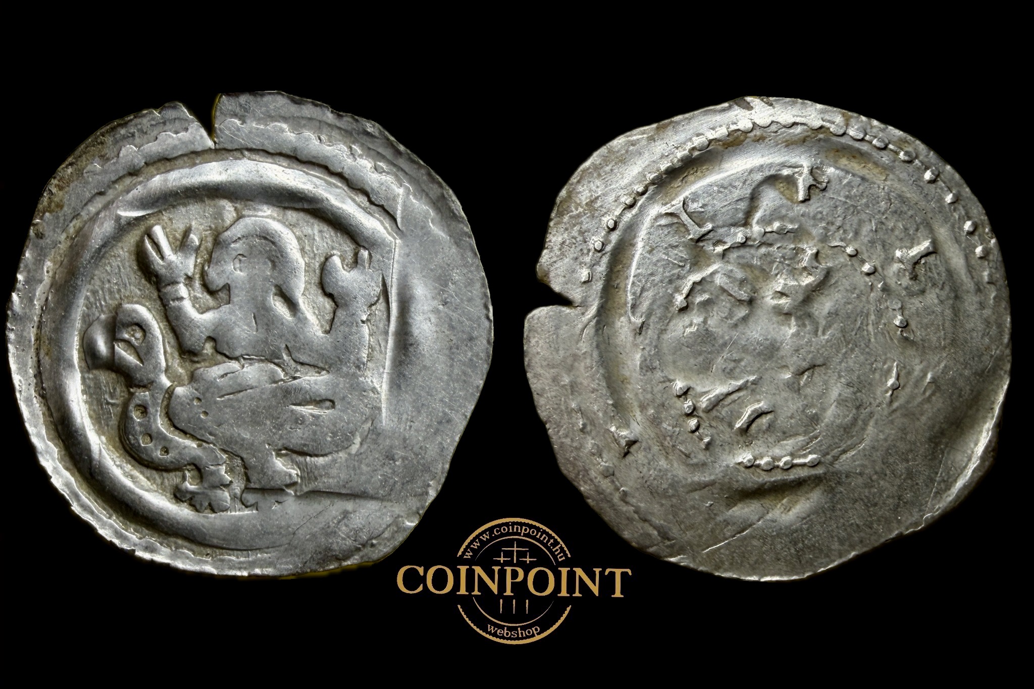 Friesach Dénár (1286-ca.1320) CNA Ca-65 RR!