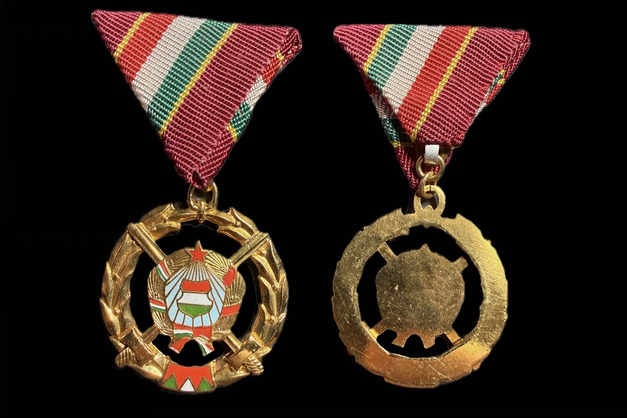 Fegyverbarátságért Érdemérem Arany Fokozata kitüntetés