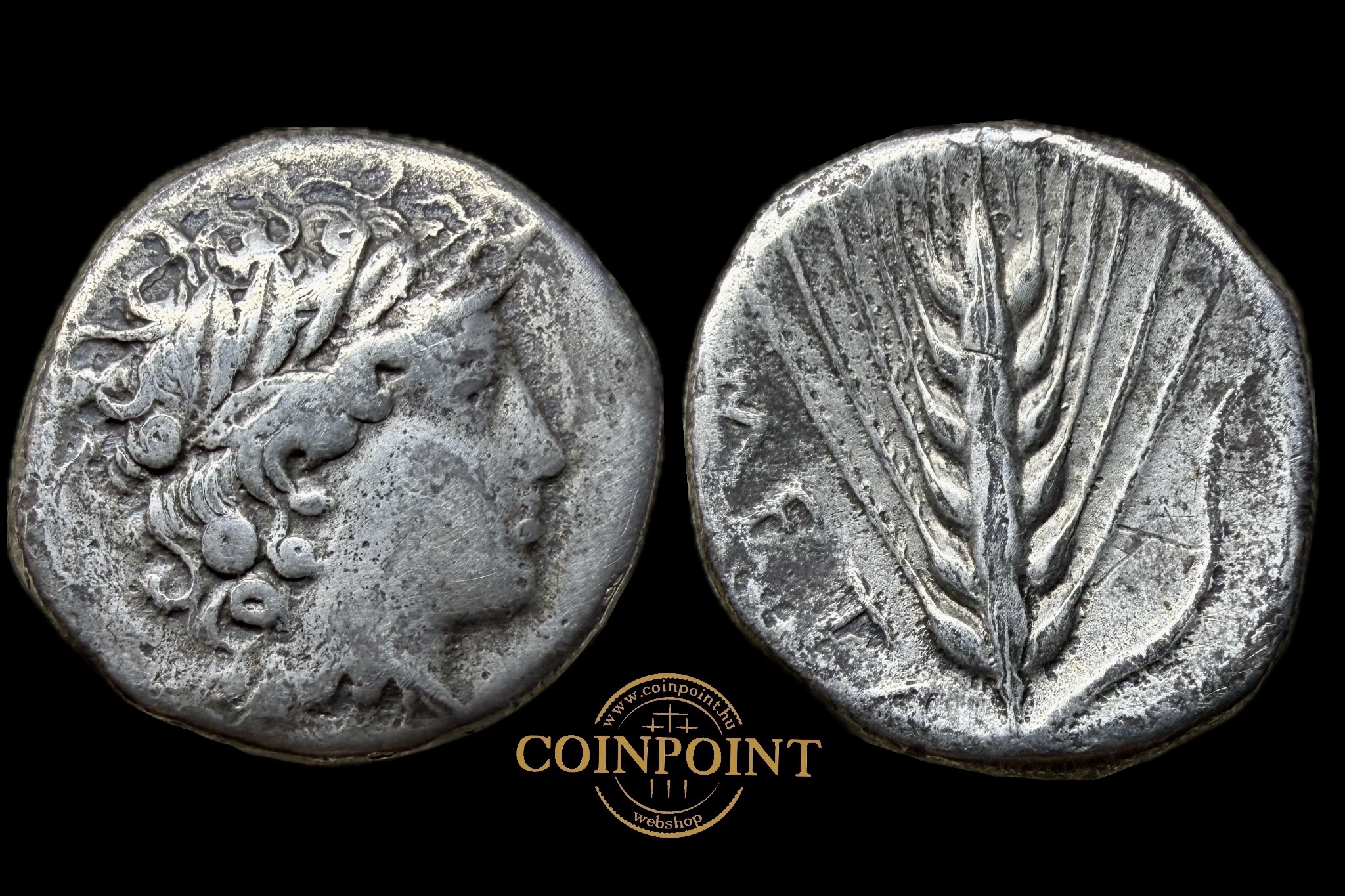 Lucania  Metapontion stater (I.e. kb. 320) SNG ANS 350