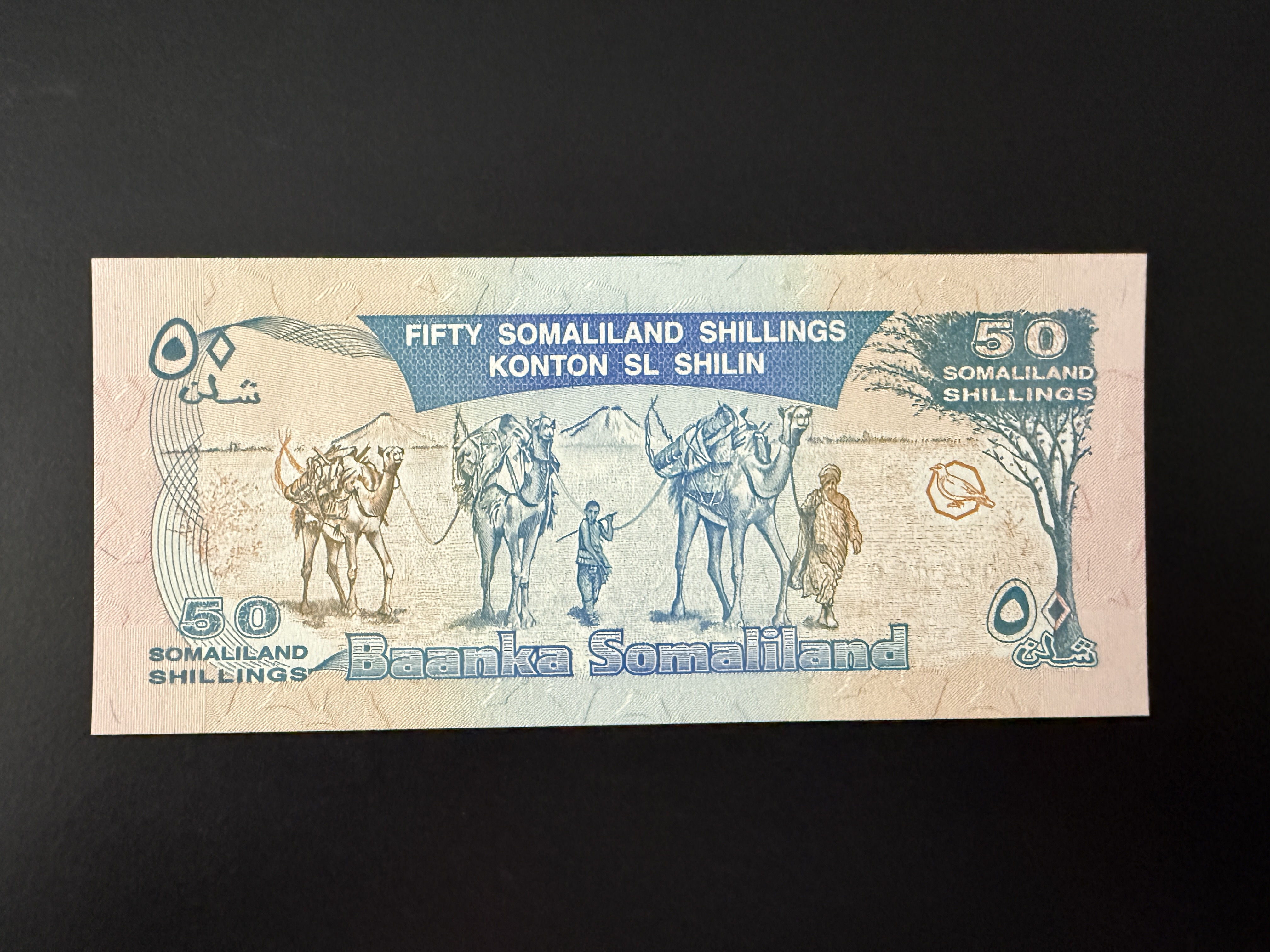 SOMALILAND 50 Somaliland Shillings 1994 (P.4) UNC