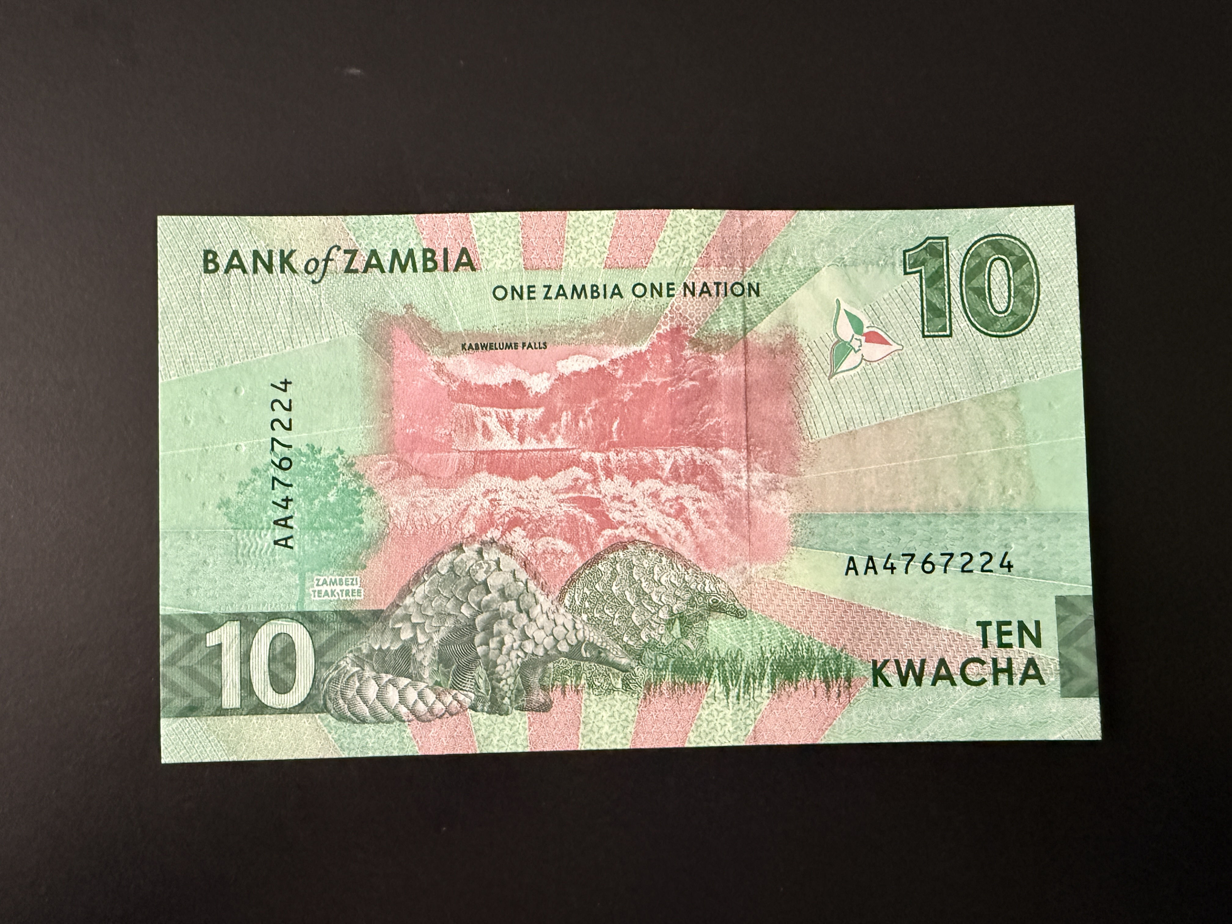 ZAMBIA 10 Kwacha 2024 (P.62) UNC
